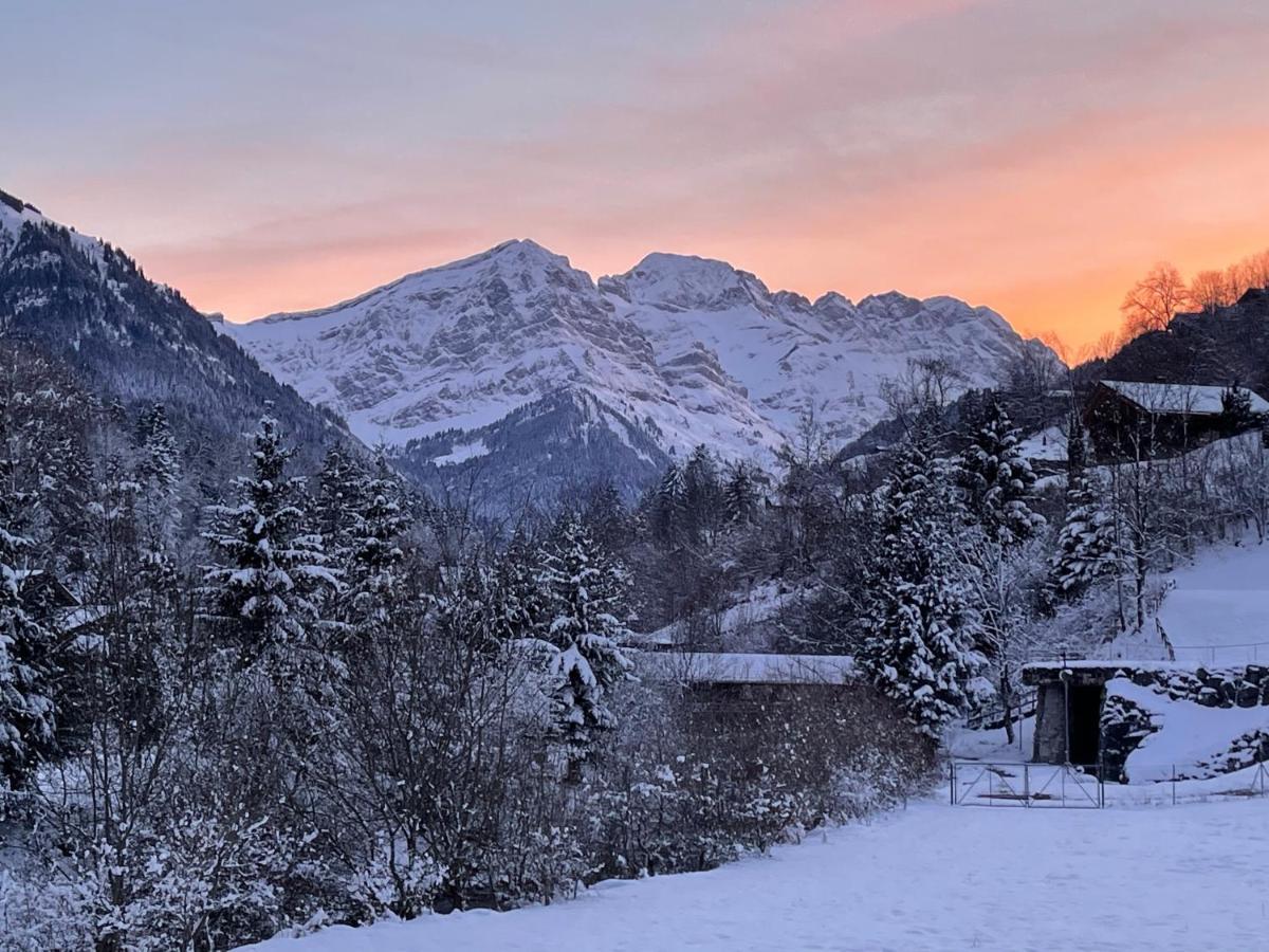 Mountain River Appart Val dʼIlliez Exterior foto