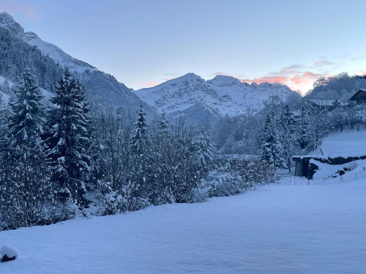 Mountain River Appart Val dʼIlliez Exterior foto